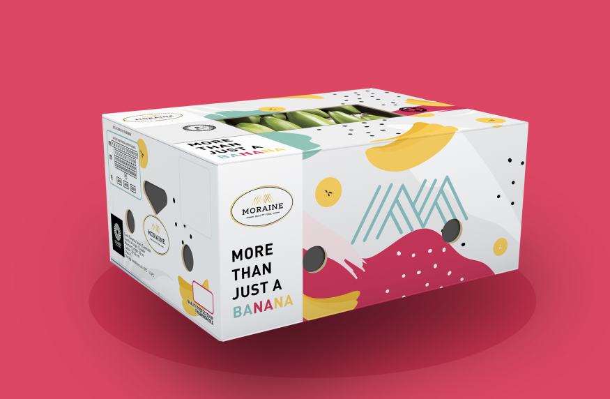 Moraine Box mockup